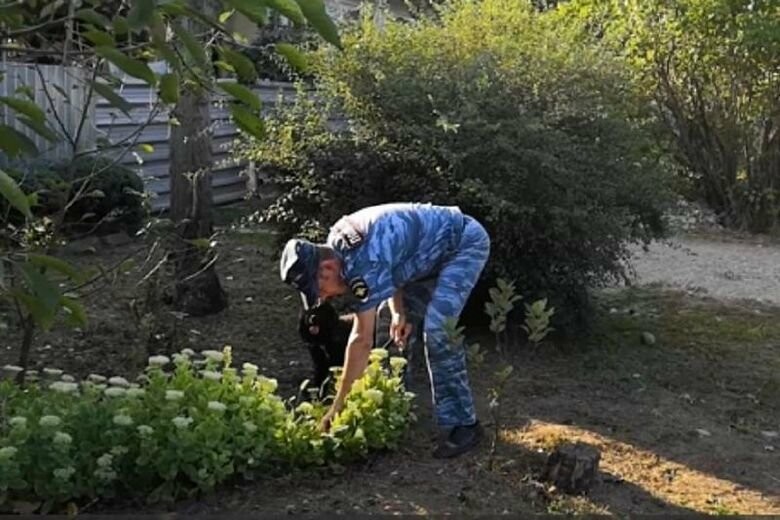 В Белореченском районе мужчина вырастил у себя в огороде 75 кусов конопли
