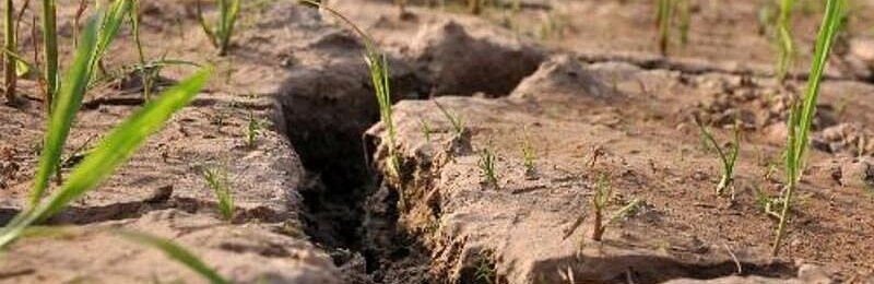 Возникновение риска засухи в Краснодарском крае