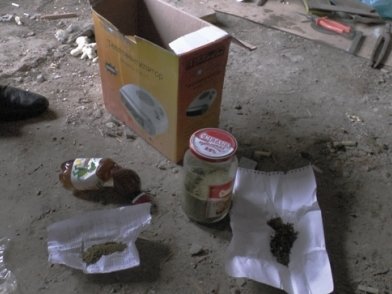 В Белореченском районе полицейские обнаружили плантацию конопли, фото-2