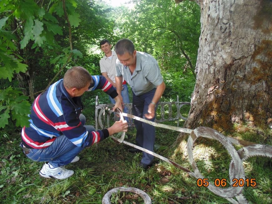 Экологи пытаются спасти памятник природы в хуторе Кубанском (фото) - фото 1